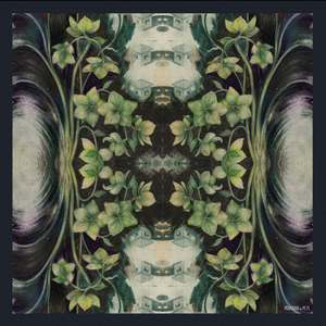 Printed silk scarf "Torn Page 19"